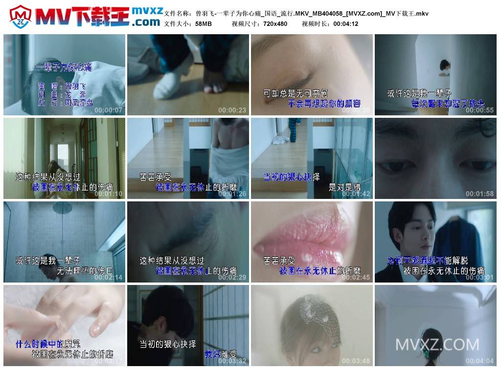 曾羽飞-一辈子为你心痛_国语_流行.MKV_MB404058